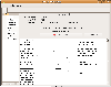 Server Main Window