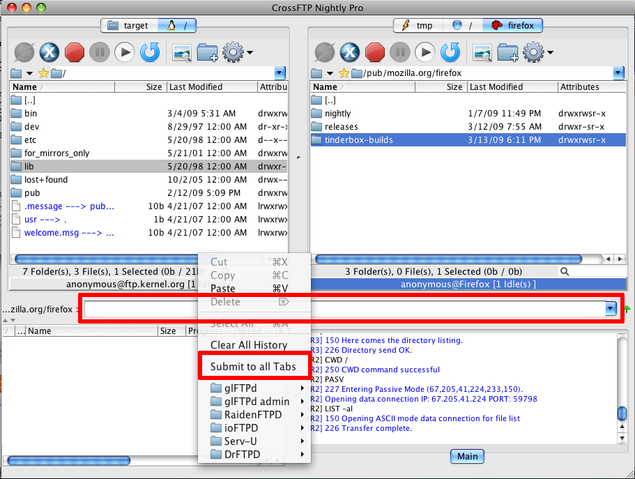 FTP commands